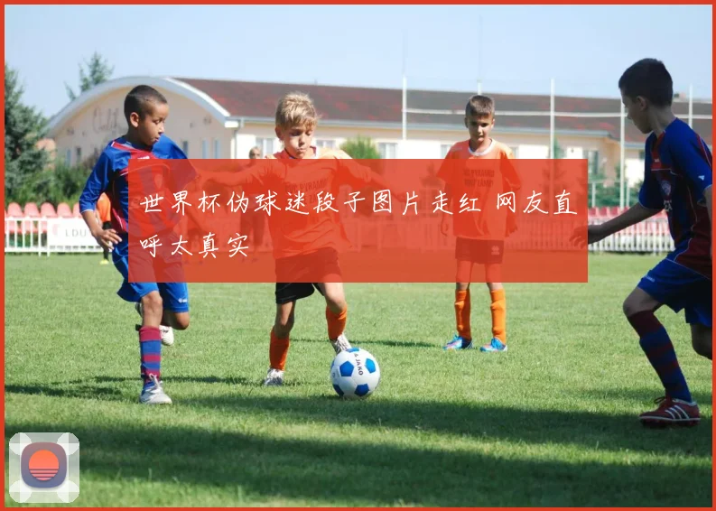 世界杯伪球迷段子图片走红 网友直呼太真实
