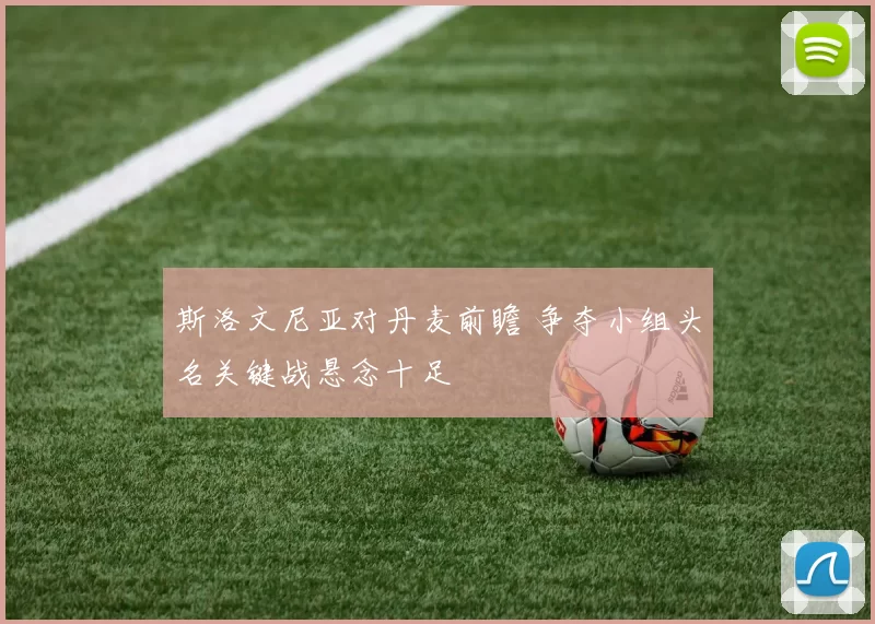 斯洛文尼亚对丹麦前瞻 争夺小组头名关键战悬念十足