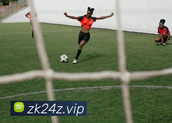 kaiyun「中国大陆」云开·门户网站 - 官方网站|登录入口发展历程